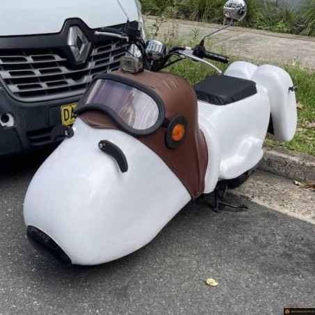 Scooter snoopy