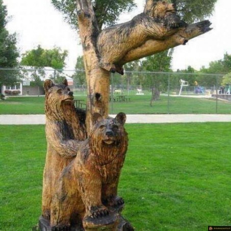 sculpture arbre ours