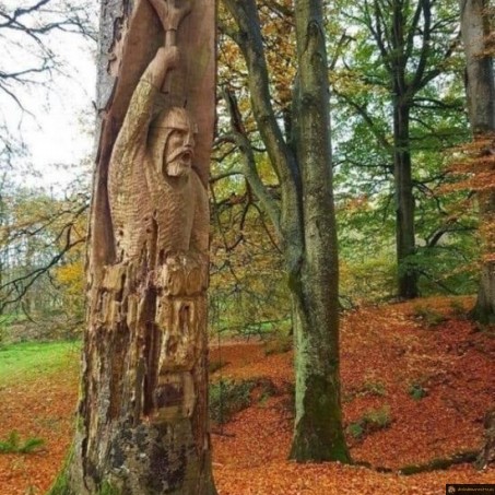 Sculpture dans un arbre