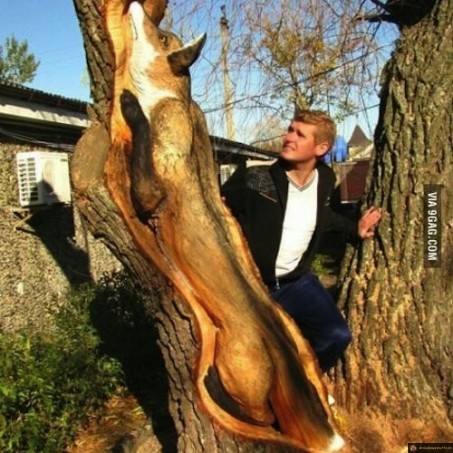 Sculpture renard sur bois