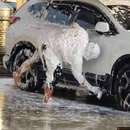 Se laver avec sa voiture