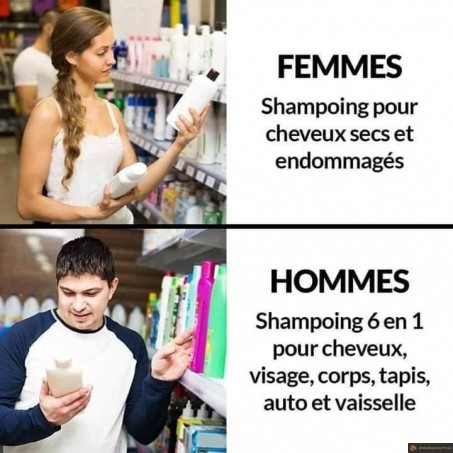 Shampoing homme vs femme
