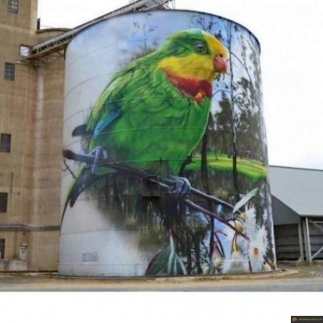 Street art oiseau