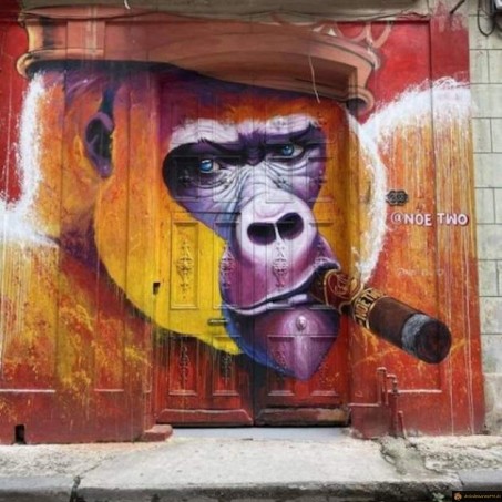 street art singe