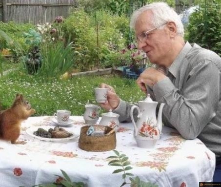 Thé avec un ecureuil
