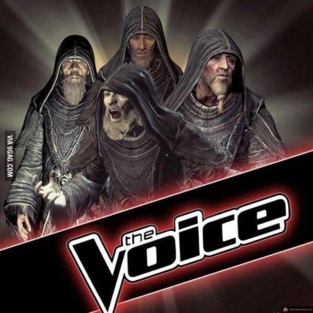 The voice skyrim