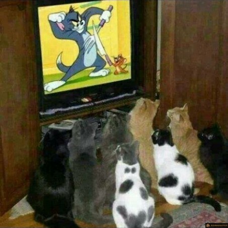 Tom & Jerry ça plait à tous