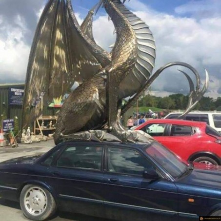 Tuning voiture dragon