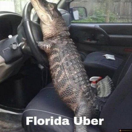 Uber en floride