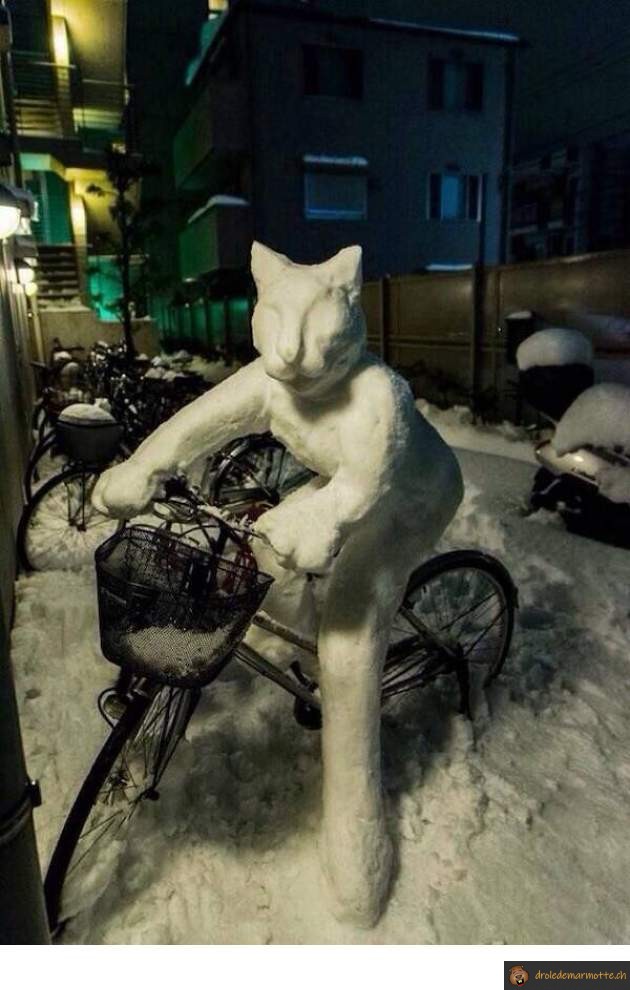 Chat de neige à vélo