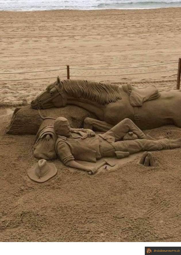 Cowboy en sable