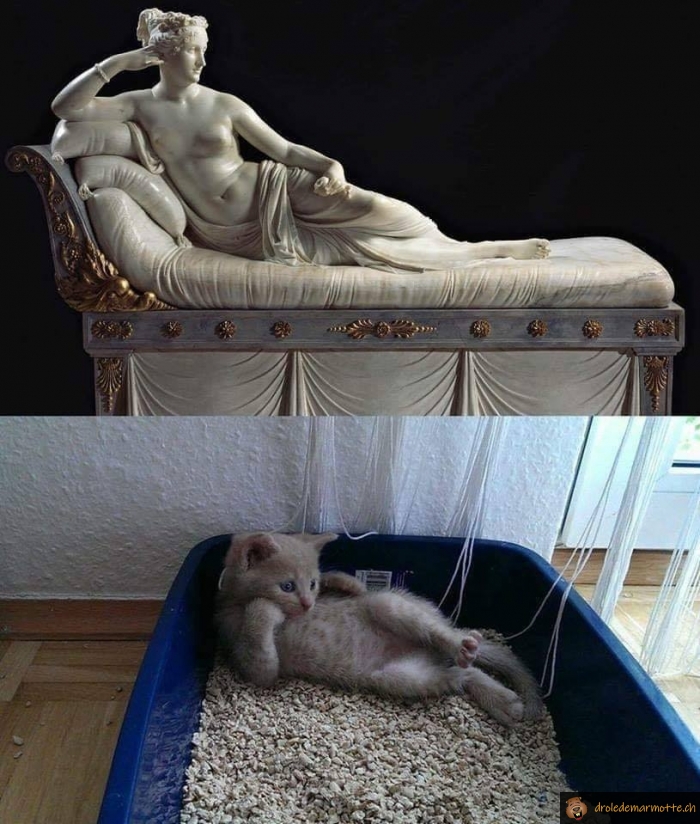 Le chat statue