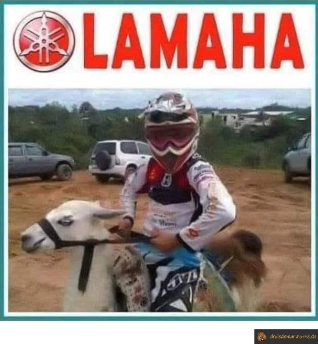 Moto Lamaha