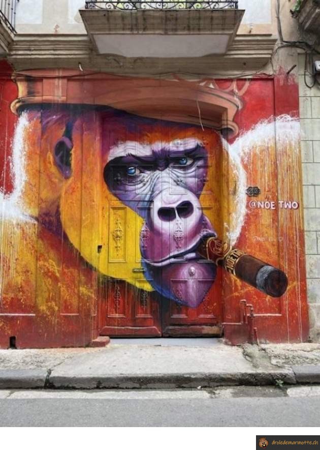 street art singe