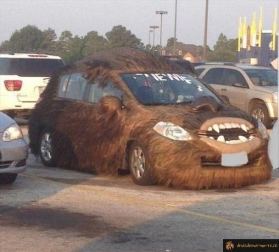 Wookie car